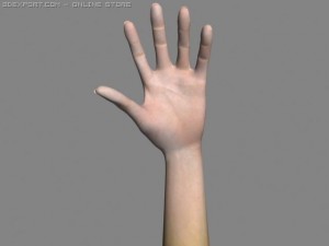 realistic hand Model 3D