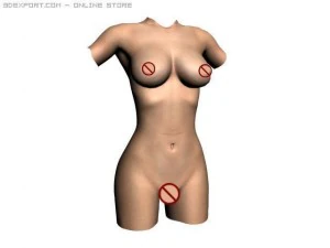 weiblicher Torso 3D Modell