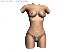 female torso Modelo 3D