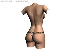 female torso 3D Model