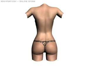 female torso 3D Model