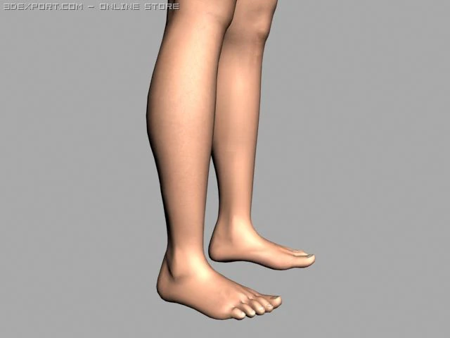 legs 3D Model .c4d .max .obj .3ds .fbx .stl .blend