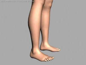 腿 3D 模型