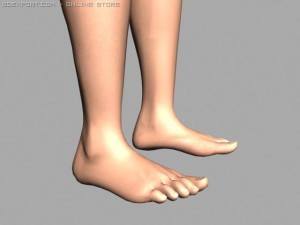 legs 3D Model