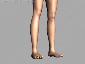 legs 3D Model