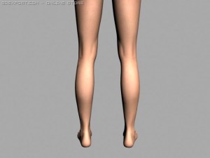 legs 3D Model