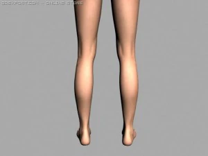 legs 3D Model