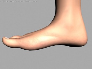legs 3D Model