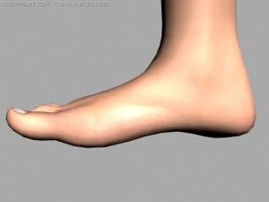 legs 3D Model