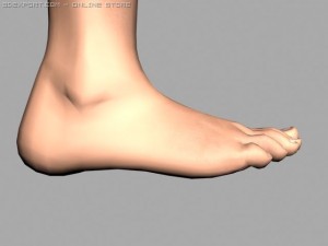legs 3D Model