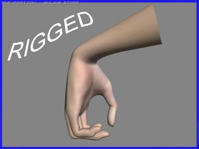realistisch handgeriggt 3D Modell .c4d .max .obj .3ds .fbx .stl .blend 