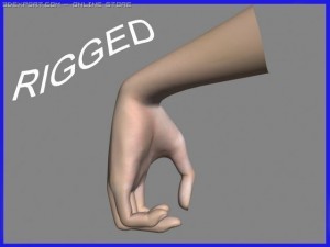 realistic hand rigged Model 3D