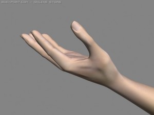 realistic hand rigged 3Dモデル