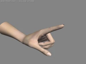 realistisch handgeriggt 3D Modell