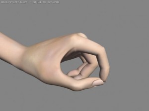 realistic hand rigged 3Dモデル