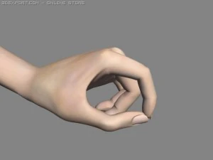 realistisch handgeriggt 3D Modell