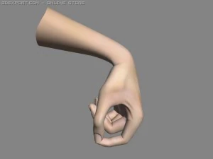 realistisch handgeriggt 3D Modell