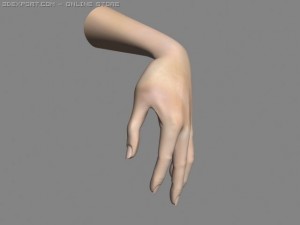 realistic hand rigged 3Dモデル