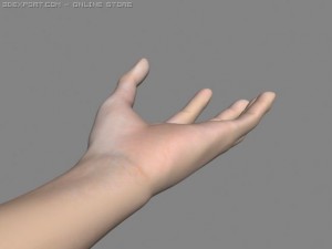 realistic hand rigged 3Dモデル