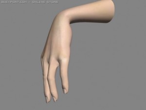realistic hand rigged 3Dモデル