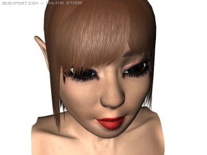 elf woman head Modelo 3D