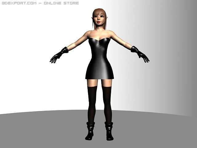 elf woman ak 3D Model .c4d .max .obj .3ds .fbx .stl .blend