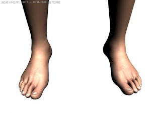 elf woman ak 3D Model