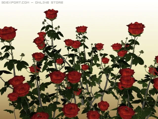 red roses 3D Model .c4d .max .obj .3ds .fbx .stl .blend 