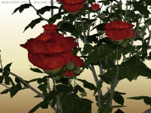 red roses 3D मॉडल
