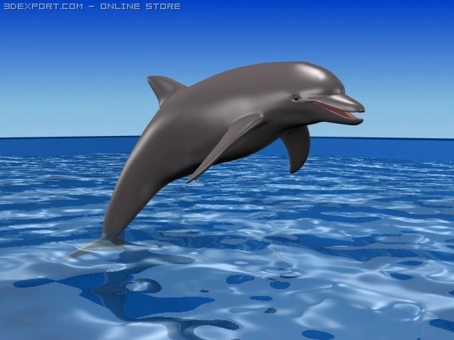 dolphin 3D Model .c4d .max .obj .3ds .fbx .stl .blend 