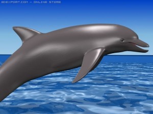 dolphin 3D मॉडल