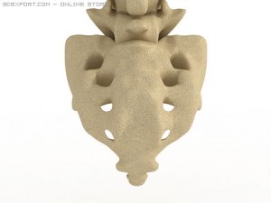human spine Modelo 3D