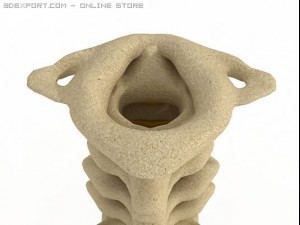 human spine Modelo 3D