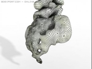 human spine Modelo 3D