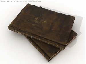zeer oude boeken 3D Model