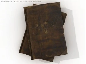 very old books 3D Model