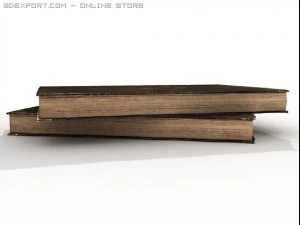 very old books 3D Model
