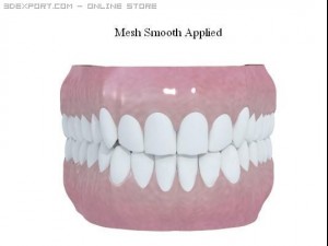 human teeth Model 3D