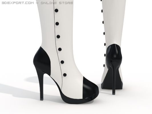 women boots 3Dモデル .c4d .max .obj .3ds .fbx .stl .blend 