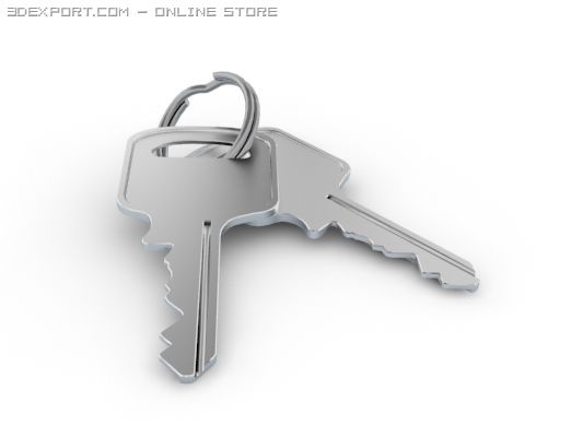 keyring with keys 3D Model .c4d .max .obj .3ds .fbx .stl .blend 