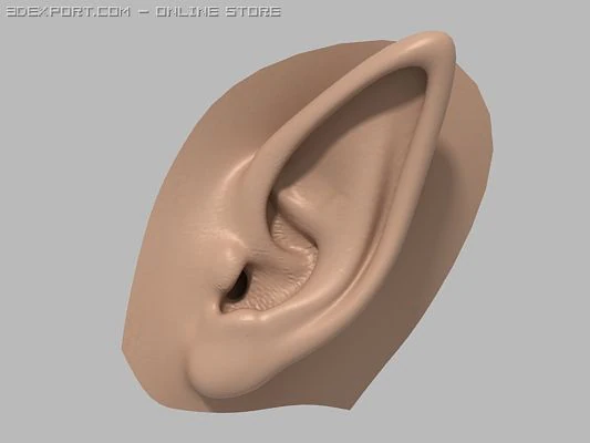 elf ear 3D Model .c4d .max .obj .3ds .fbx .stl .blend 