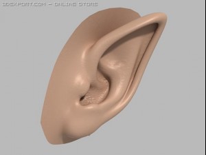 elf ear 3D 模型