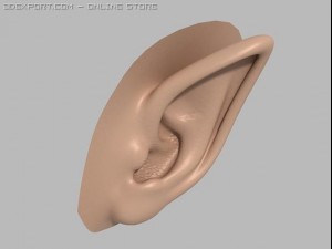 elf ear 3D 模型