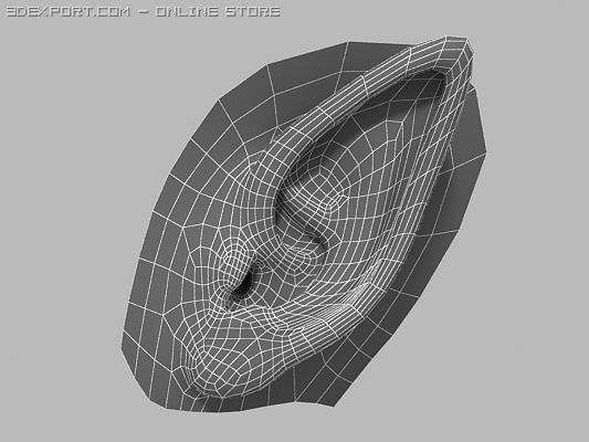 Elf Ear 3d Model In Anatomy 3dexport