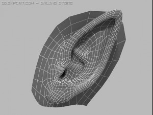 elf ear 3D 模型