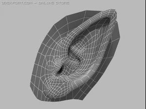 elf ear 3D Model
