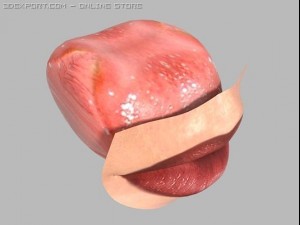 dark red woman mouth 3D 모델