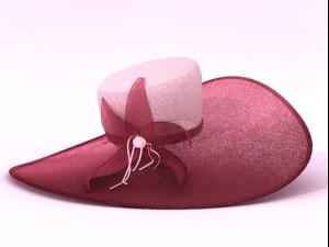 elegant hat 3D Model