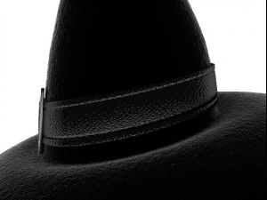 halloween witch hat 3D Model