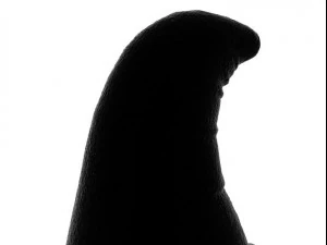 halloween witch hat 3D Model